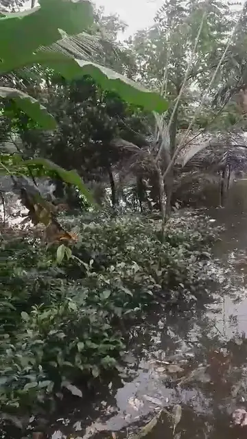 'Video thumbnail for flood'