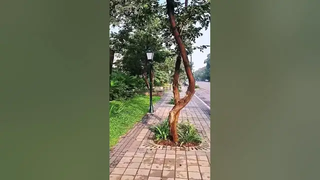 'Video thumbnail for Morning @ Happy Street, Baramati | Pencil Chauk | VP College | Vidyanagari | Beautiful Nature | Rain'