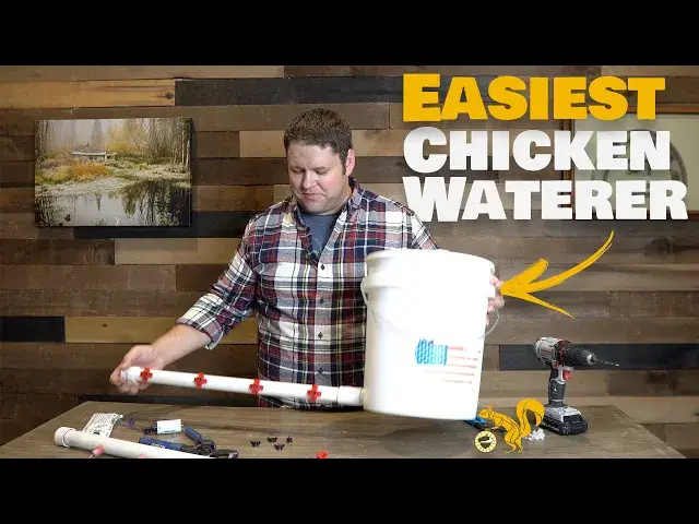 'Video thumbnail for Automatically Water Your Chickens - It's EASY'