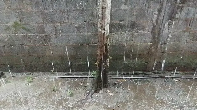 'Video thumbnail for Heavy Rain'