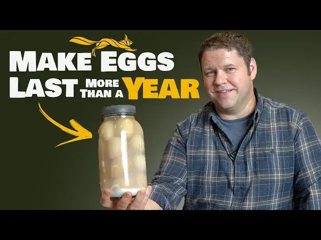 'Video thumbnail for Water Glassing Eggs So They'll Last Up to 18 Months'