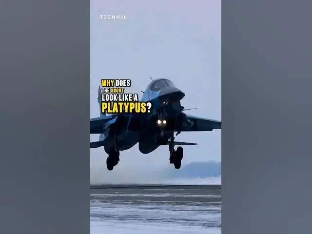 'Video thumbnail for Why Does The SU-34 Snout Look Like a Platypus? #su34 #su57 #f22'