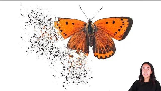 'Video thumbnail for How to Create a SHATTER EFFECT for FREE - Easy Creative Idea in Canva'