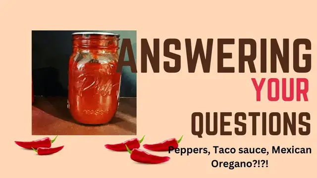 'Video thumbnail for Answering questions about peppers, Mexican oregano and taco sauce…'