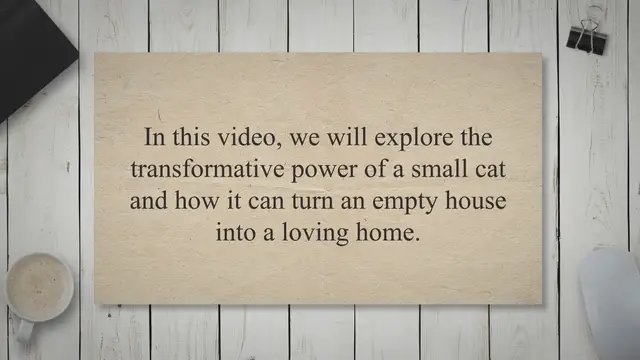 'Video thumbnail for The Transformative Power of a Small Cat: From Empty House to Loving Home'