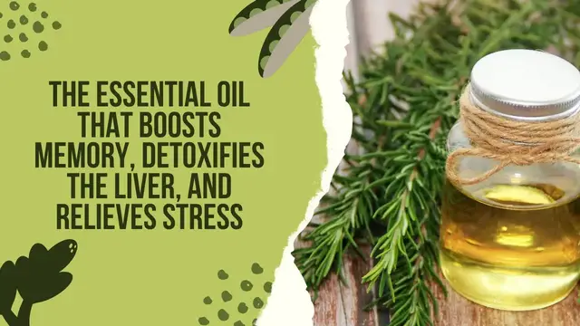 'Video thumbnail for The Essential Oil that Boosts Memory, Detoxifies the Liver, And Relieves Stress'