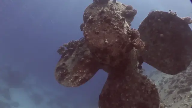 'Video thumbnail for Diving Inside a Shipwreck (Warship)'