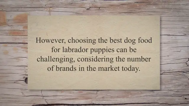 'Video thumbnail for 10 Best Food For Labrador Puppy: Best Guide'