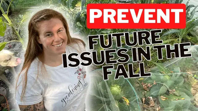 'Video thumbnail for Closing Down The Garden Properly In The Fall. Maintaining Soil Structure & Reducing Disease.'