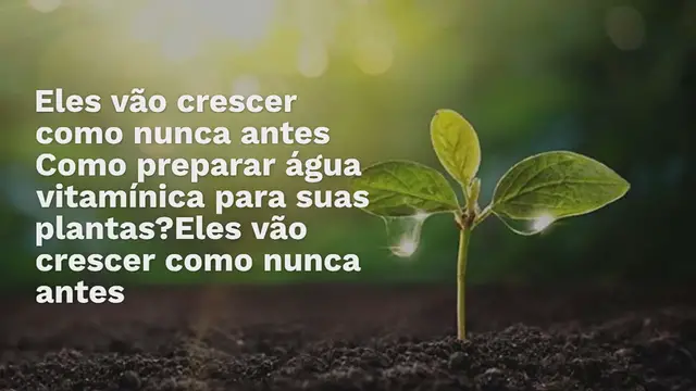 'Video thumbnail for Como preparar água vitamínica para suas plantas? Eles vão crescer como nunca antes'