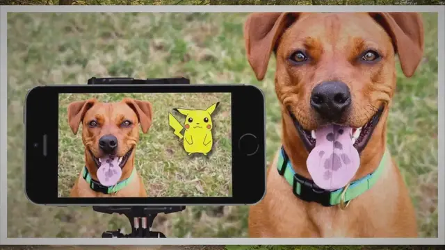 'Video thumbnail for Dog Inspired Pokémon'