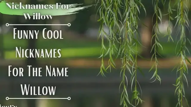 'Video thumbnail for Nicknames For Willow | 65+ Funny Cute Nicknames For Name Willow'