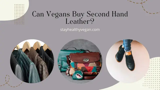 'Video thumbnail for is second hand leather vegan?'