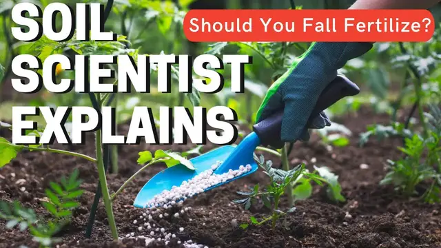 'Video thumbnail for Should You Apply Fall Fertilizer To Your Garden? When & How Should You Fall Fertilize?'