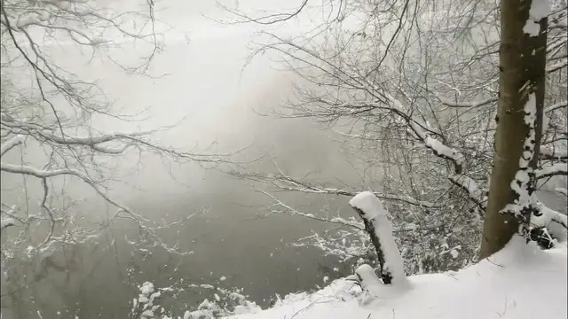 'Video thumbnail for Belgrade Forest İstanbul under snow. March 12 2022'