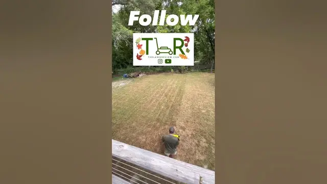 'Video thumbnail for Ultimate FALL Lawn Care Routine: Scalping & Dethatching Grass #shorts #scalping #lawncare'