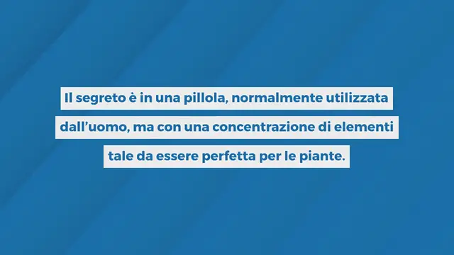 'Video thumbnail for Questa pillola farà scoppiare molti fiori nel giardino e sul balcone'
