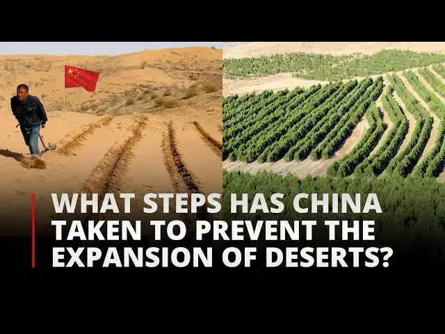 'Video thumbnail for What Steps Has China Taken to Prevent the Expansion of Deserts | 12am News'