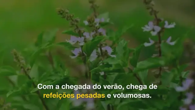 'Video thumbnail for O truque para manter a alface fresca e crocante por 3 semanas'