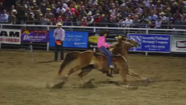 'Video thumbnail for What Is 1D, 2D, 3D, And 4D In Barrel Racing?'