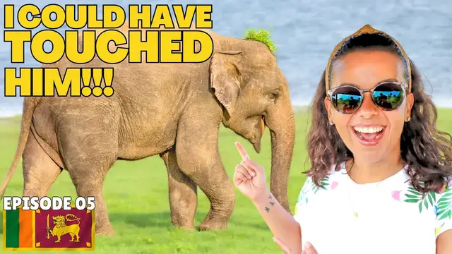 'Video thumbnail for EP 05: AMAZING SAFARI IN SRI LANKA! 🇱🇰 BETTER THAN YALA NATIONAL PARK???'