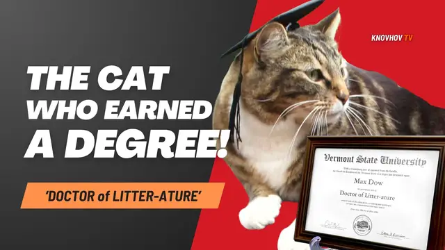 'Video thumbnail for A Cat Just Earned His Doctorate from a Vermont University: ‘Doctor of Litter-ature’'