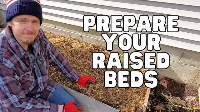 'Video thumbnail for Prepare Your Raised Bed for Winter'