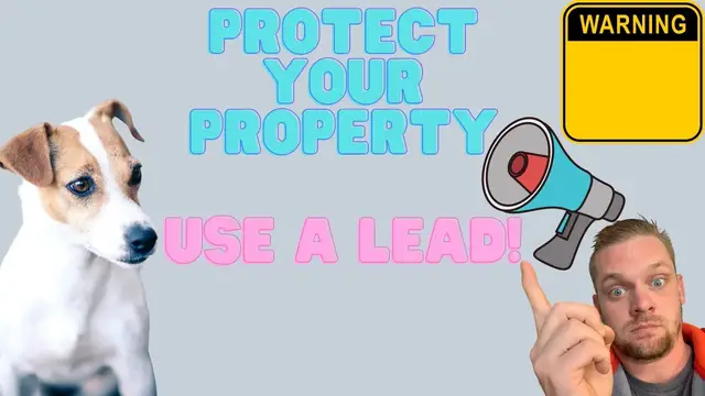 'Video thumbnail for Using A Lead For Your Dog: Leads For A Jack Russell Will Save Your Yard!'