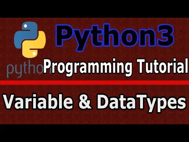 'Video thumbnail for Python3 Programming Variables And DataTypes #2'