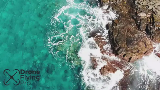 'Video thumbnail for Lord How Island Stock footage'