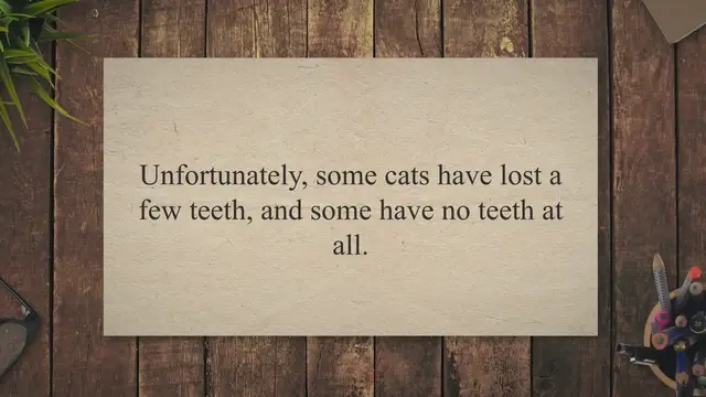 'Video thumbnail for How to Care For Cats with No Teeth?'