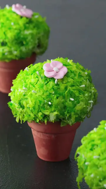 'Video thumbnail for Recipes, Videos, Food & Travel Shows ,Cactus Snowballs'