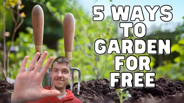 'Video thumbnail for Gardening on a Shoestring: 5 Essential Tips for a Lush Garden with Zero Budget'