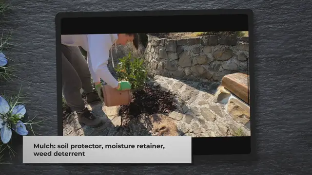 'Video thumbnail for How to Calculate the Right Amount of Mulch for Your Garden'