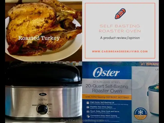 'Video thumbnail for Caribbean Green Living'