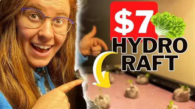 'Video thumbnail for 7$ Setup For Growing Vegetables On Top Of A Fish Tank. Setting Up A Hydroponic Raft For Endless Food'