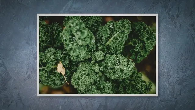 'Video thumbnail for Keto Vegetables for Diabetics: A Comprehensive Guide'