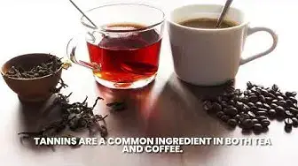 'Video thumbnail for Does tea stain your teeth more than coffee'