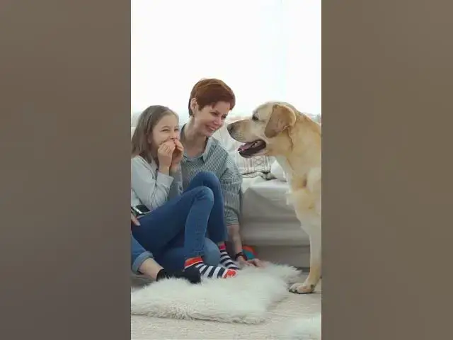 'Video thumbnail for Want to Understand Human Behavior? Look at the Animals!'