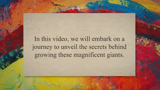 'Video thumbnail for Unveiling the Secrets: A Journey into Growing Giant Pumpkins'