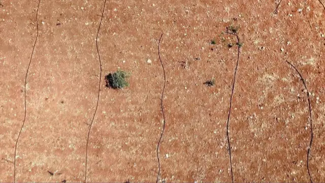 'Video thumbnail for Greece's heatwave hits tourism and agriculture as climate change bites'