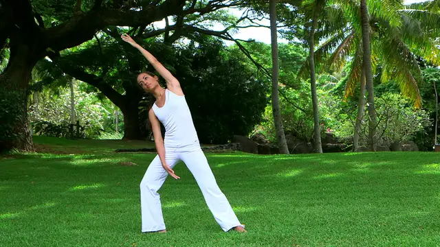 'Video thumbnail for Stretching - Aligning the body'