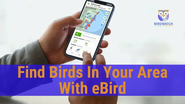 'Video thumbnail for Find Birds In Your Area With The eBird Smartphone App - Birdwatch World'