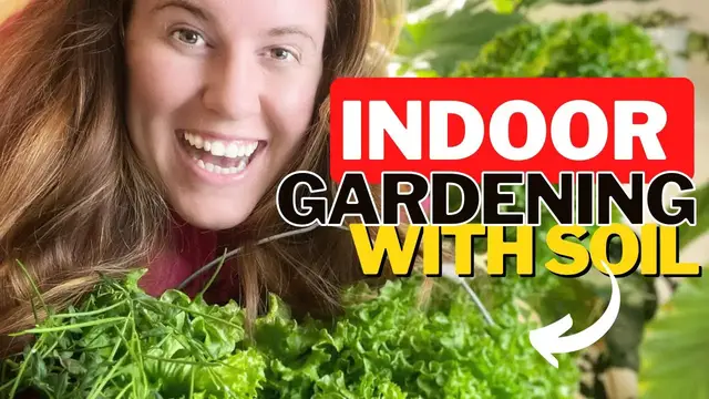 'Video thumbnail for Growing Food Indoors With Potting Soil & No Hydroponics. Three Things To Consider Growing Indoors.'