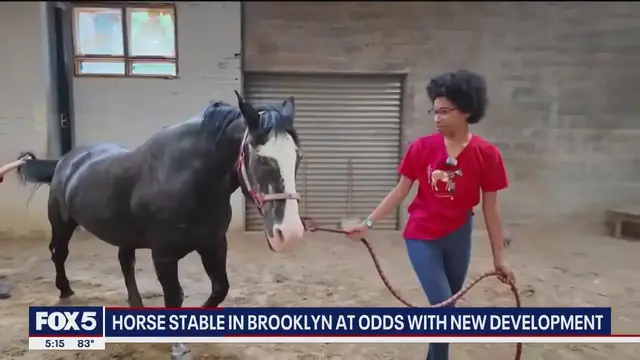 'Video thumbnail for Brooklyn horse stable at odds with new development'