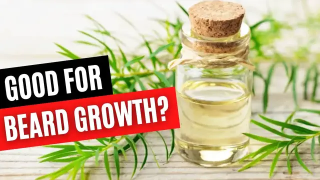 'Video thumbnail for Does Tea Tree Oil Help Grow A Beard? | Beard Care'