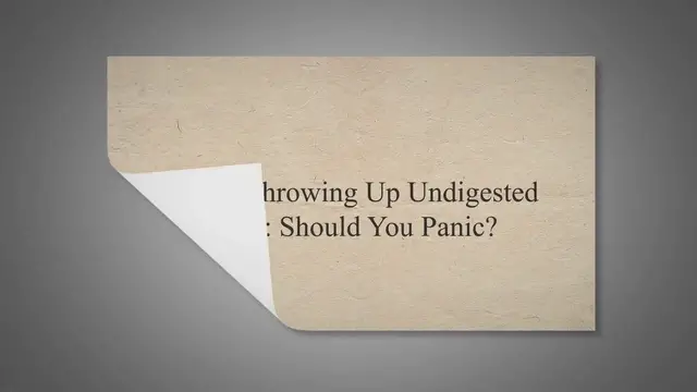 'Video thumbnail for Puppy Throwing Up Undigested Food: Should You Panic?'
