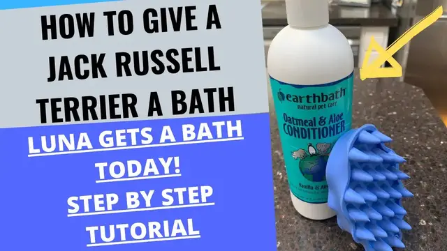 'Video thumbnail for HOW TO GIVE A JACK RUSSELL TERRIER A BATH (LUNA GETS A BATH TODAY)'