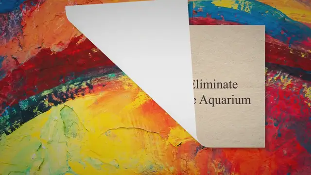 'Video thumbnail for How To Identify And Eliminate Planaria Flatworms Inside Aquarium'