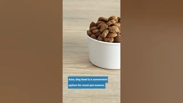 'Video thumbnail for Why Do Dogs Eat Dog Food'